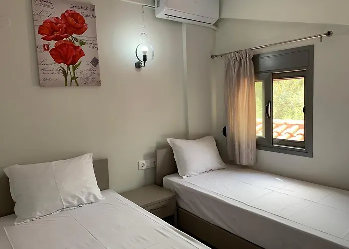 Harmony & 3* 스칼라 포타미아스