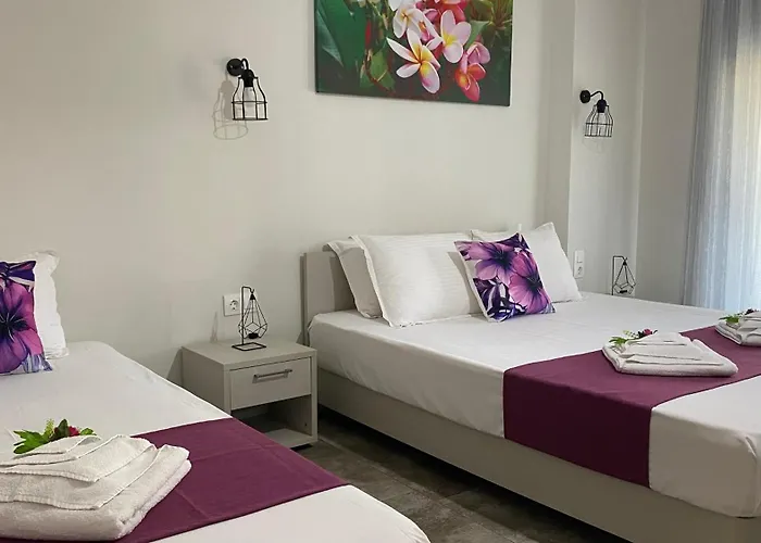 Harmony & 3* 스칼라 포타미아스